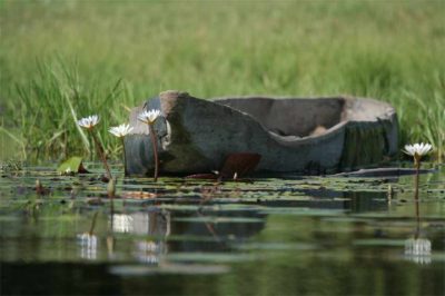 Zimbabwe & Botswana für Entdecker - sunway_botswana_okavango_mokoro_gary_bowkett