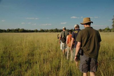 Zimbabwe & Botswana für Entdecker - sunway_botswana_okavango_walk_1_bruce_taylor