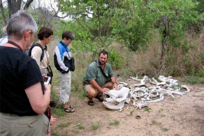 Zimbabwe & Botswana für Entdecker - sunway_zimbabwe_matobos_walk