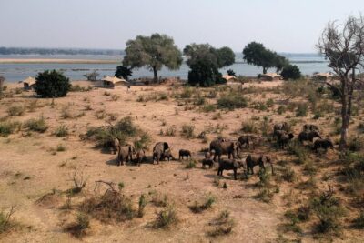 Elephant Crossing Safari Bushcamp_11