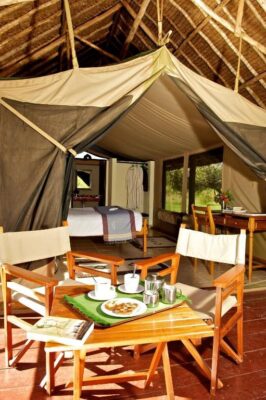 Voyager Ziwani Camp