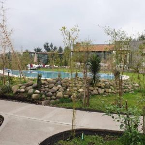 Amarembo Gorilla Lodge