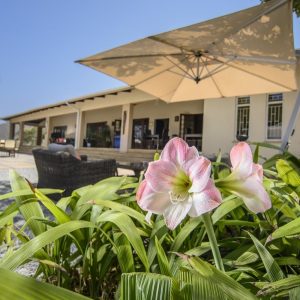 Abangane Lodge