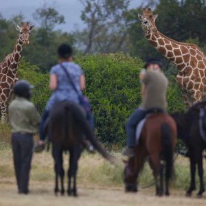 Aberdares Country Club Ausritte