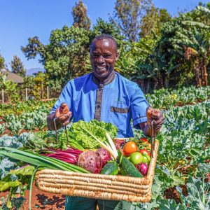 Acacia Farm Lodge, aktive Farm