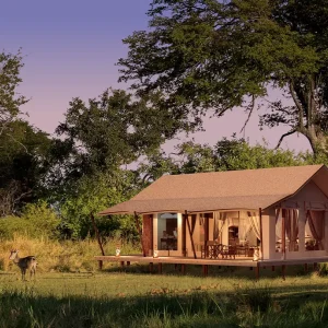 Nkasa Linyanti Camp