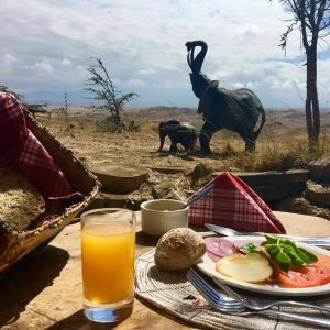 Africa Amini Lodge