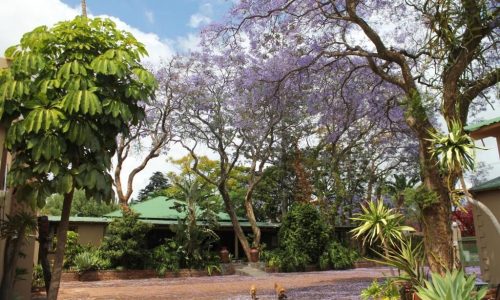 African Roots Guesthouse