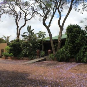 African Roots Guesthouse