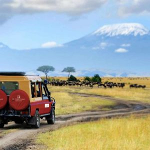 Amboseli Ol Tukai Lodge