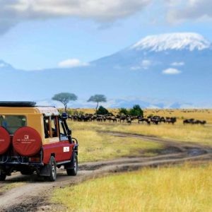 Amboseli Ol Tukai Lodge