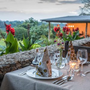 Arusha Villa