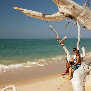 Azura Marlin Beach: Baumstämme am Strand