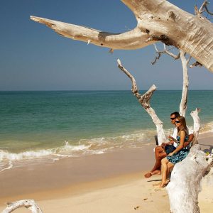 Azura Marlin Beach: Baumstämme am Strand