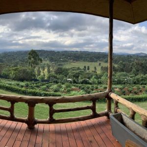 Baghayo Garden Suites