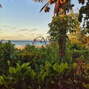 Baia Sonambula Guesthouse