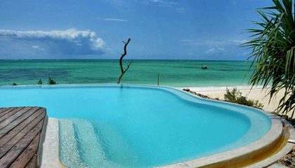 Nord-Tansania Safari