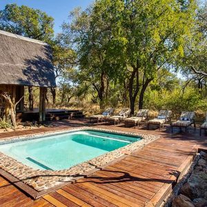Black Rhino Game Lodge, Pool