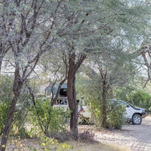Boteti River Camp