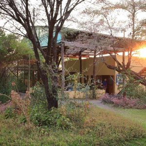 Boteti River Camp