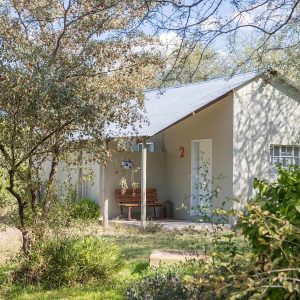 Boteti River Camp