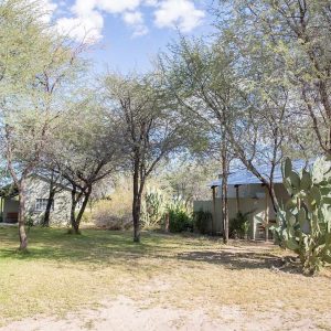 Boteti River Camp