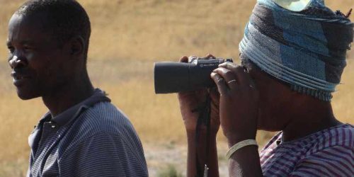 Botswana - die sog Tourismus-Entwicklungssteuer entfällt mobile-safari