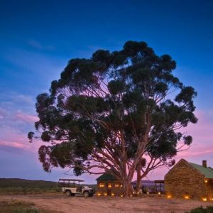 Bushmans Kloof Wilderness Reserve