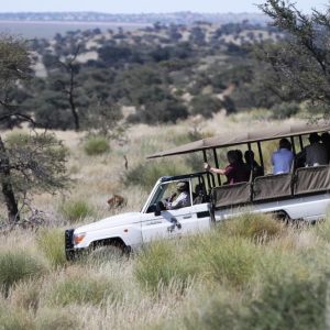 Camelthorn Kalahari Lodge