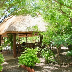 Camp Bastian, Garten