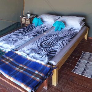 Camp Gecko Innenansicht