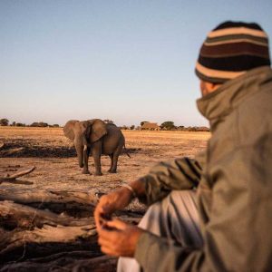 Camp Hwange