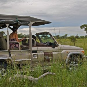 Camp Kwando Pirschfahrt