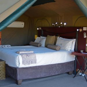 Camp Savuti, Doppelzelt