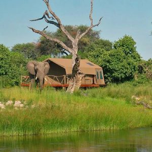 Camp Savuti, Channel mit Wasser