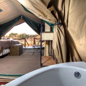 Camp Savuti, Zelte mit Badewanne