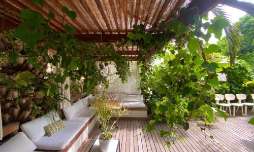 Cape Standard relaxen im Schatten