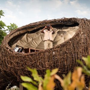 Chisa Safari Camp  Nest