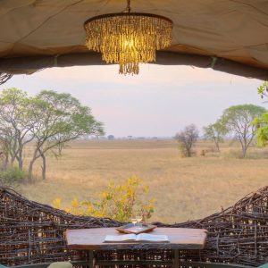 Chisa Safari Camp_