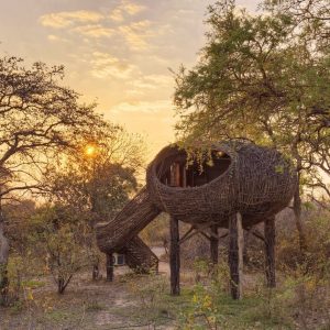 Chisa Safari Camp