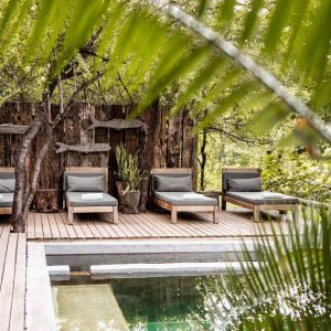 Chobe Bakwena relaxen am Pool