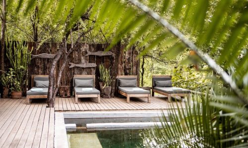 Chobe Bakwena relaxen am Pool