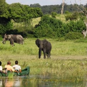 Chobe River Camp