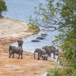 Chobe Safari Lodge Pirschfahrt