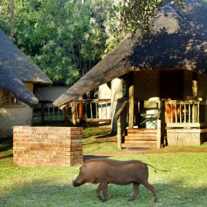 Chobe Safari Lodge Bungalows