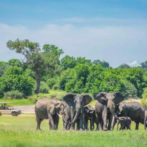 Chobe Safari Lodge Pirschfahrt
