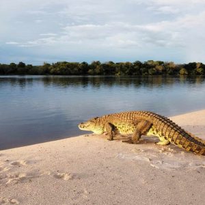 Chundukwa River Lodge