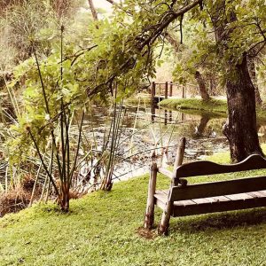 Chundukwa River Lodge