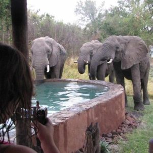 Livingstone & Kafue Nationalpark, Chundukwa River Lodge