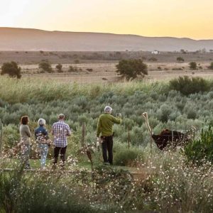 De Denne Country Guest House